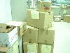 DSC06963.JPG